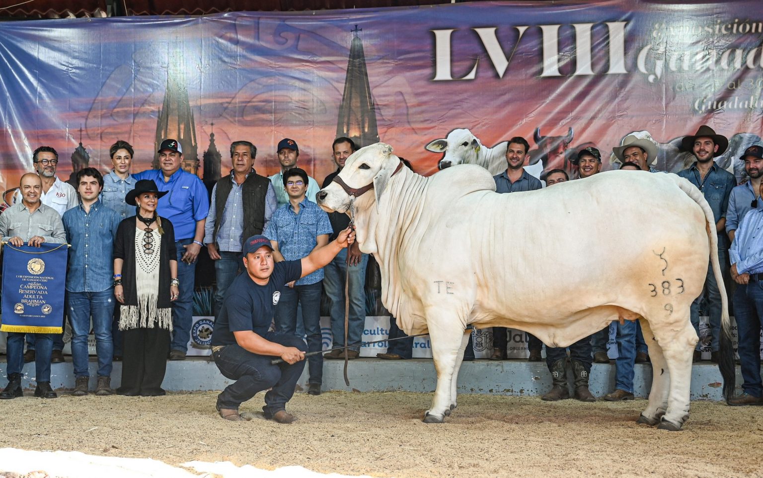 XXIV EXPOSICION NACIONAL DE GANADO CEBU – Rancho Chapopote