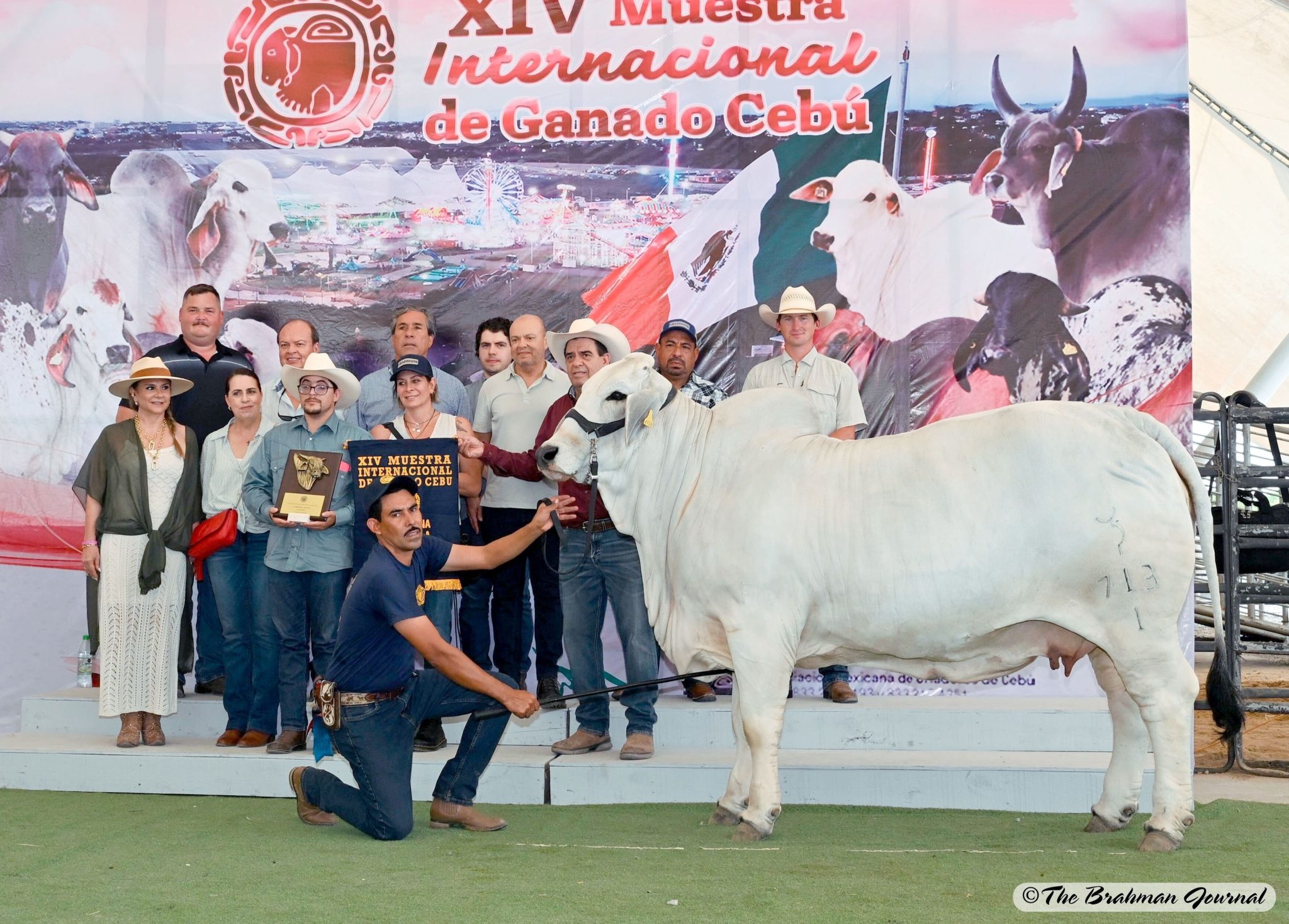 XIV MUESTRA INTERNACIONAL DE GANADO CEBÚ – Rancho Chapopote